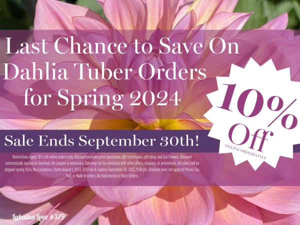 2023 - Last Chance to Save 10% on Dahlia Tuber Orders