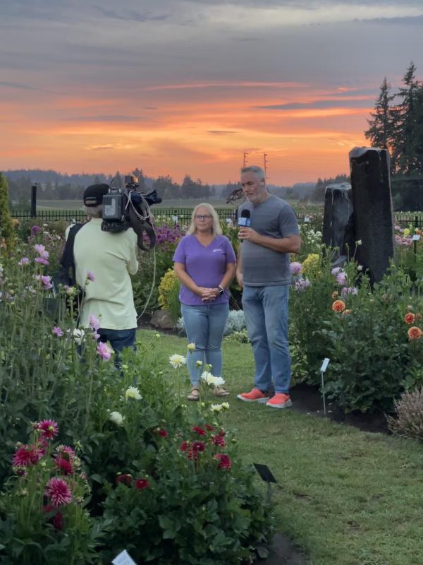 KOIN 6 - Kohr Explores at Swan Island Dahlias