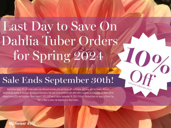 2023 - Last Day to Save 10% on Dahlia Tuber Orders