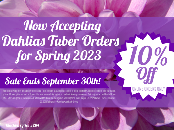 10% OFF DAHLIA TUBER ORDERS - 2 DAYS LEFT!