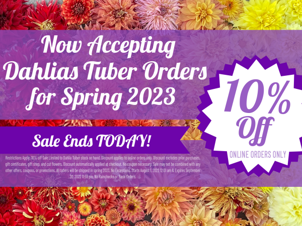 10% OFF DAHLIA TUBER ORDERS - LAST DAY FOR 10% OFF!